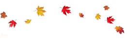 autumn-leaves-2025-blowing autumn-leaves-2025-blowing