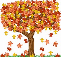 autumn-tree