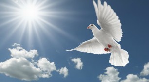 dove-peace-cloud