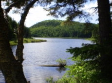 lake-peaceful-trees lake-peaceful-trees