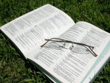 bible-on-grass