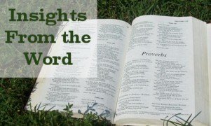 insights-bible