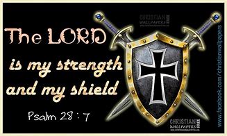 shield-strength-champion